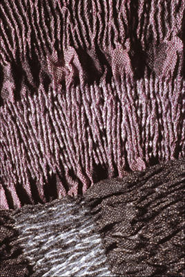 Flamenco - detail