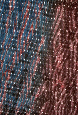 Shibori Devor&eacute; - closeup